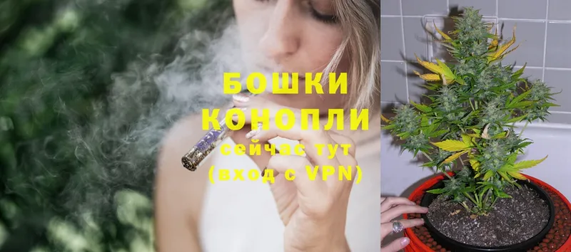 где продают   Удомля  МАРИХУАНА OG Kush 